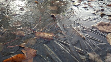In the morning, the frost hit. Frozen puddles, leaves and reflections in the ice.