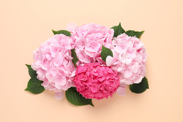 Obraz premium Beautiful hortensia flowers on beige background, flat lay