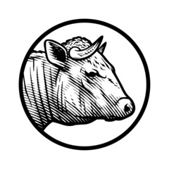 Bull head logo in engraved style. Vector illustration.