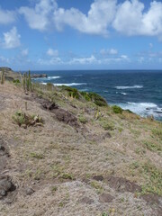Fototapeta na wymiar Caribbean coastal view, St. Lucia 