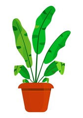 Indoor plant in a pot. Flower. Gardening, floriculture, botany. Cartoon drawing. For collages. Interior web design. Landscape design