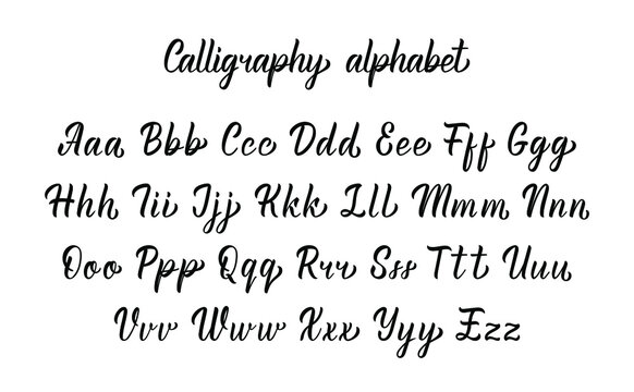 Elegant handdrawn latin calligraphy brush script with. Calligraphic alphabet. Vector illustration
