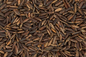 natural dry red rice seeds