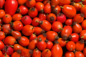 Ripe rose hip berries as background, top view