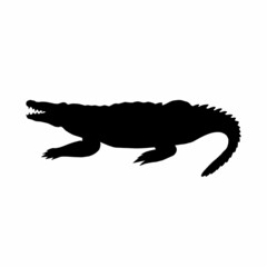 Silhouette of an animal crocodile isolated on a white background.Vector illustration of a reptile.