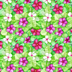 watercolor floral seamless pattern green with white, pink, purple flowers for 
background, design, decoration