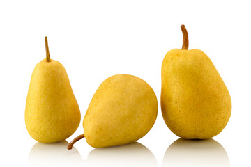 Italian yellow coscia pears, isolated on white background,copy space