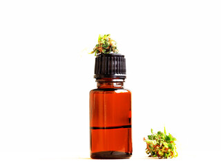 cannabis cbd oil bottle and medical marijuana hemp