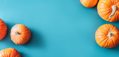 Many beautiful orange pumpkins on blue background