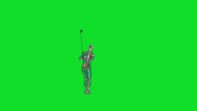 Human x-ray body and skeleton, Golf Strike, Green Screen
