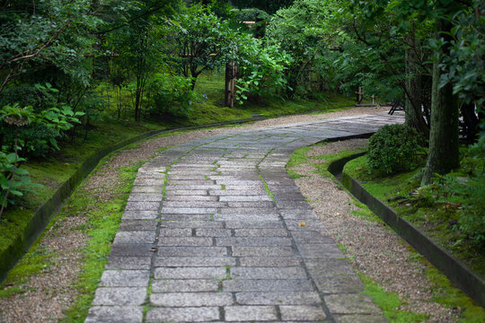 日本庭園　庭園　石畳