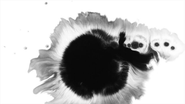 Black and Grey Ink Moving On White Background 4K footage