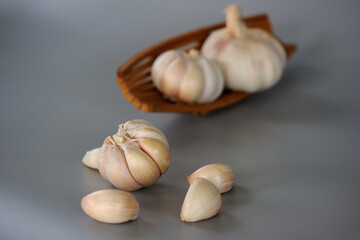 Garlic clove and bulb  on gray background.