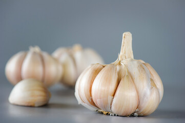 Garlic clove and bulb isolated on white background.