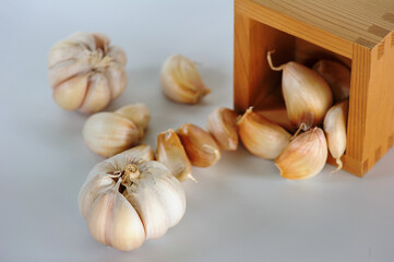 Garlic clove and bulb isolated on white background.