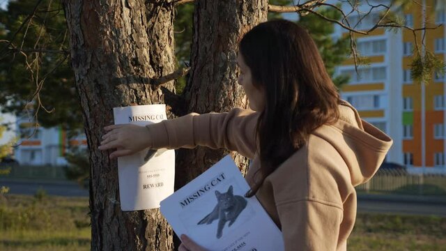 Brunette lady owner in beige hoodie hangs poster of missing cat and strokes photo on tree trunk in city park on sunny autumn day, close view