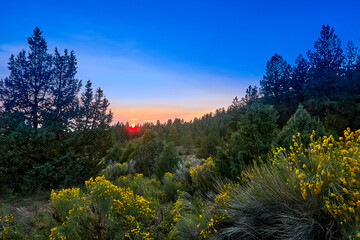 Sunset at Pine Lake Campground in the Dixie National Forest, Utah.