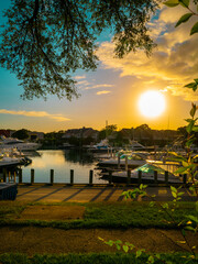 The rising sun under the old Elm tree at the Falmouth Marina on Cape Cod. Nostalgic autumn morning...