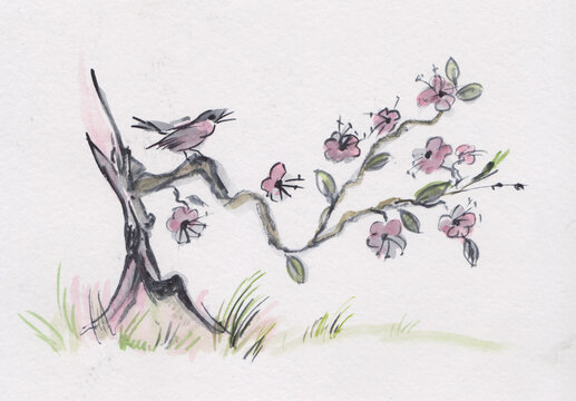 bird sitting 0n branch of flowering tree