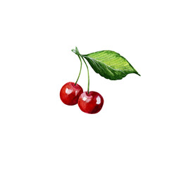 Watercolor Cherries on Branch. Hand Drawn Illustration Organic Food Vegetarian Ingredient
