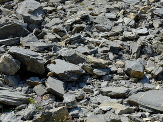 Lac du Lauzanier - Larche 04