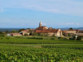 Fototapeta na wymiar Village et vignes en Bourgogne.