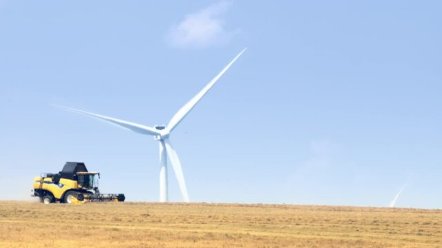 Harvesting on the wheat field. Combine working on the Wind farm. Telephoto lens Agriculture Green energy concept.