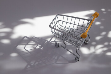 empty small shopping cart with nature hard shadows