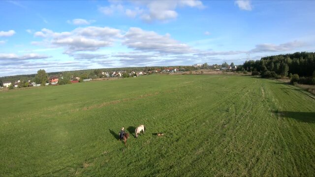 flying on an fpv drone behind a horse, a girl on a horse, in a green field, against the background of a forest, bushes, trees, blue sky, white clouds
