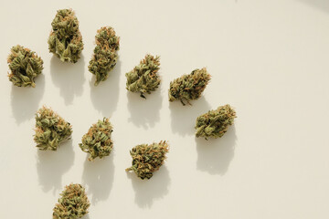 Marijuana buds closeup. Medicinal CBD cannabis, dried flowering lay on ivory background. Weed...