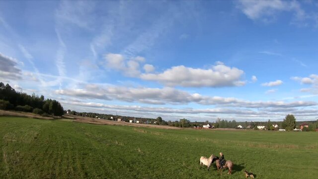 flying on an fpv drone behind a horse, a girl on a horse, in a green field, against the background of a forest, bushes, trees, blue sky, white clouds