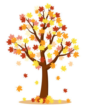 Autumn tree with colorful leaves on a white