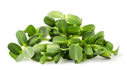 Heap microgreens on a white background. Isolated