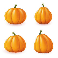 Isolated pumpkins on white background. Set of autumn elements. Vector illustration