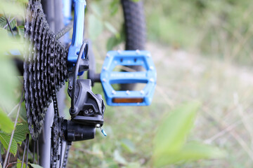 bicycle parts cassette and chain closeup