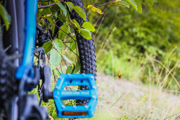 Back shot of mountain bike Mountain bike tire