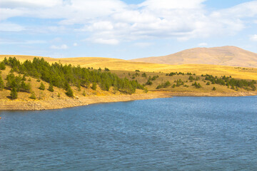 View of Ribnica Lake and the forest and hills on the shore.