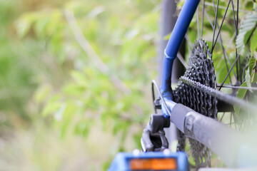 bicycle parts cassette and chain closeup