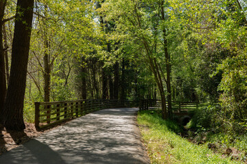 Paved path through a heavily wooded greenway, fencing and drainage ditch flanking the path, North...