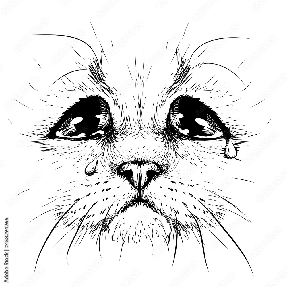 Wall mural cat. creative design. graphic portrait of a crying cat in close-up on a white background. digital ve