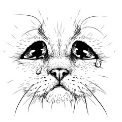 Cat. Creative design. Graphic portrait of a crying cat in close-up on a white background. Digital vector graphics.