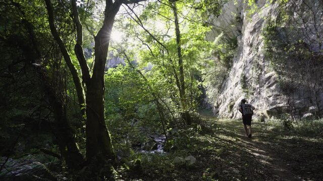 Anxious backpacker looking for directions lost at Ponga Natural Park