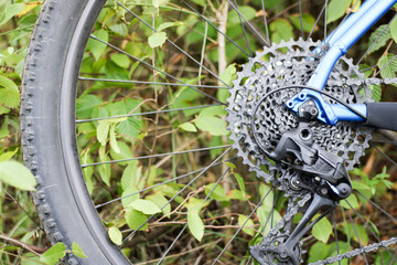 bicycle parts cassette and chain closeup