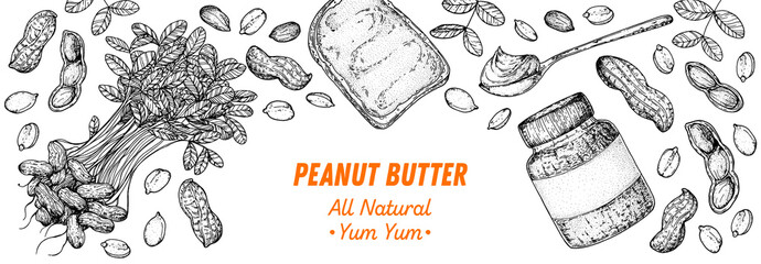 Peanuts and ingredient for peanut butter sketch. Breakfast for energy. Hand drawn vector illustration. Design template. Vegan food. Peanut nut butter set. - obrazy, fototapety, plakaty