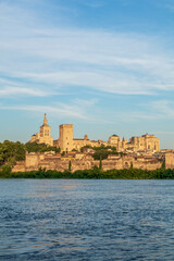 Beautiful view on th Avignon medieval city with historical walls and other touristic landmarks,...