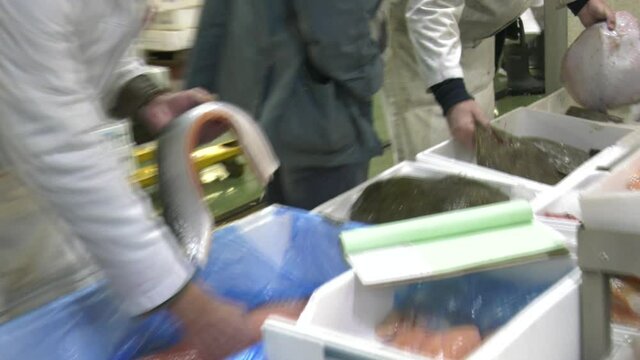 Fish being handled by a fish mongers