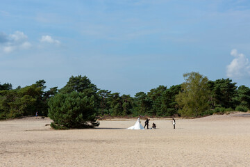 Soesterduinen drift sanddune landscape with white sand and pine trees featuring an open air public...