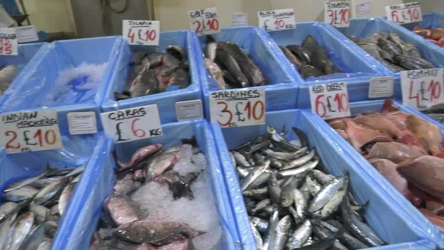 Fresh fish on a seafood market