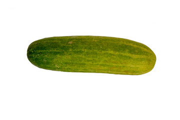 Fresh fresh cucumber fruit, isolated on white background with clipping path