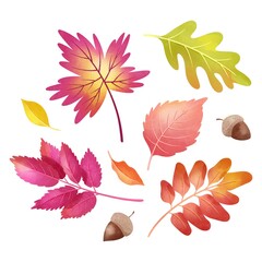 watercolor autumn leaves set vector design illustration